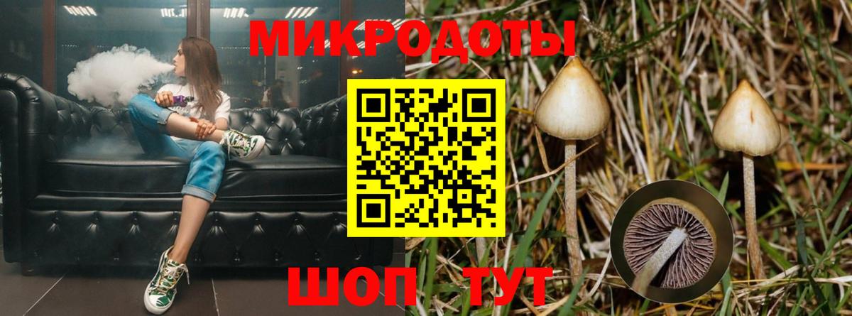 Нерюнгри  Галлюциногенные грибы мицелий  Вход с VPN 